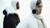 Moncler x Jil Sander